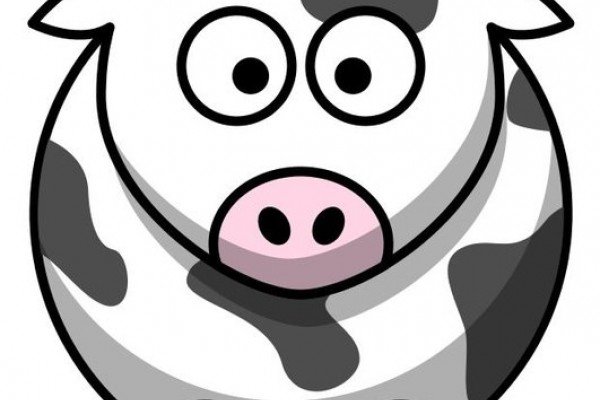 Koetjesbox - 4,2 kg vlees Koetjesbox - 4,2 kg vlees